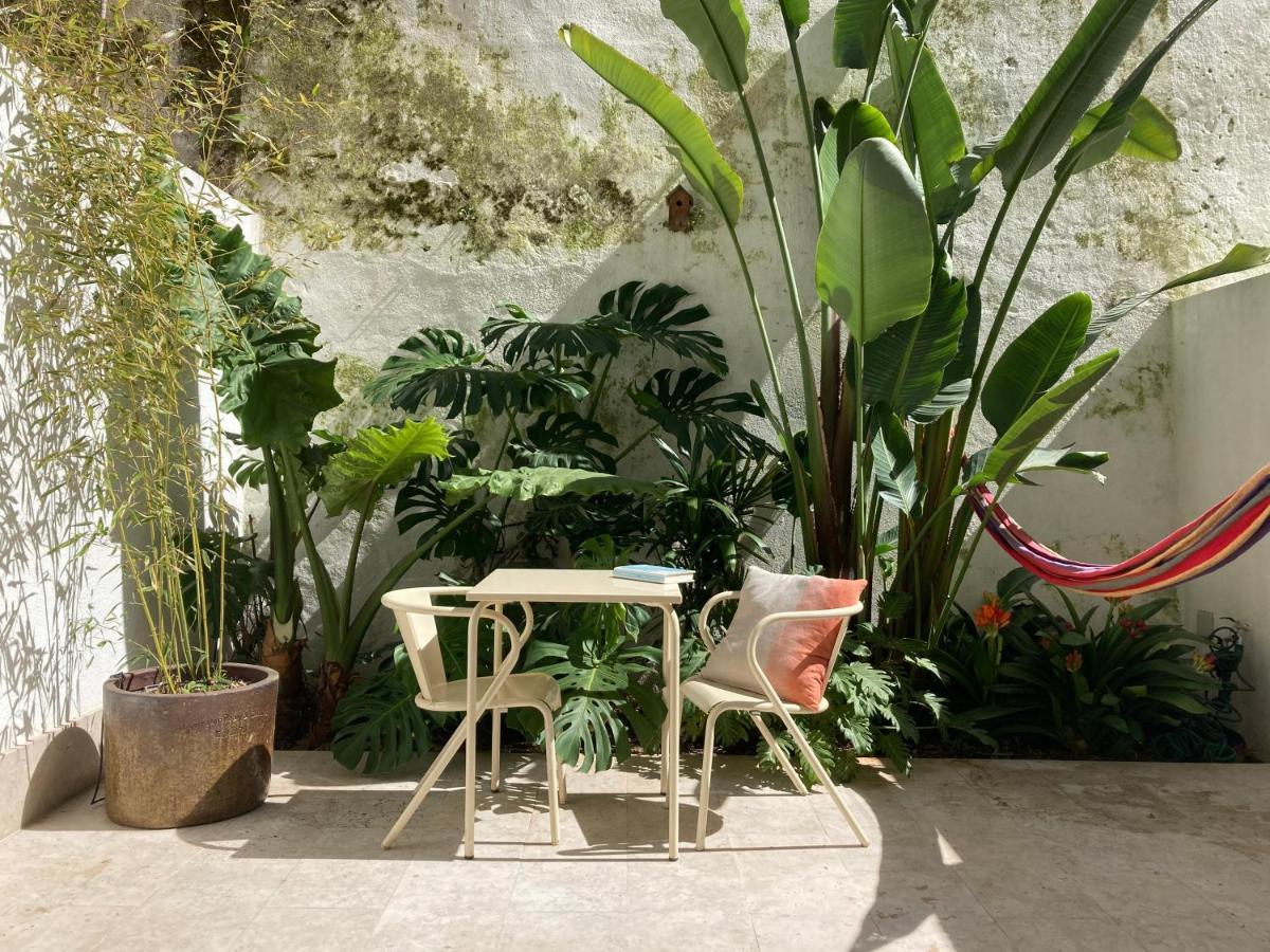 The Monkey Flat Daire Lisboa Dış mekan fotoğraf